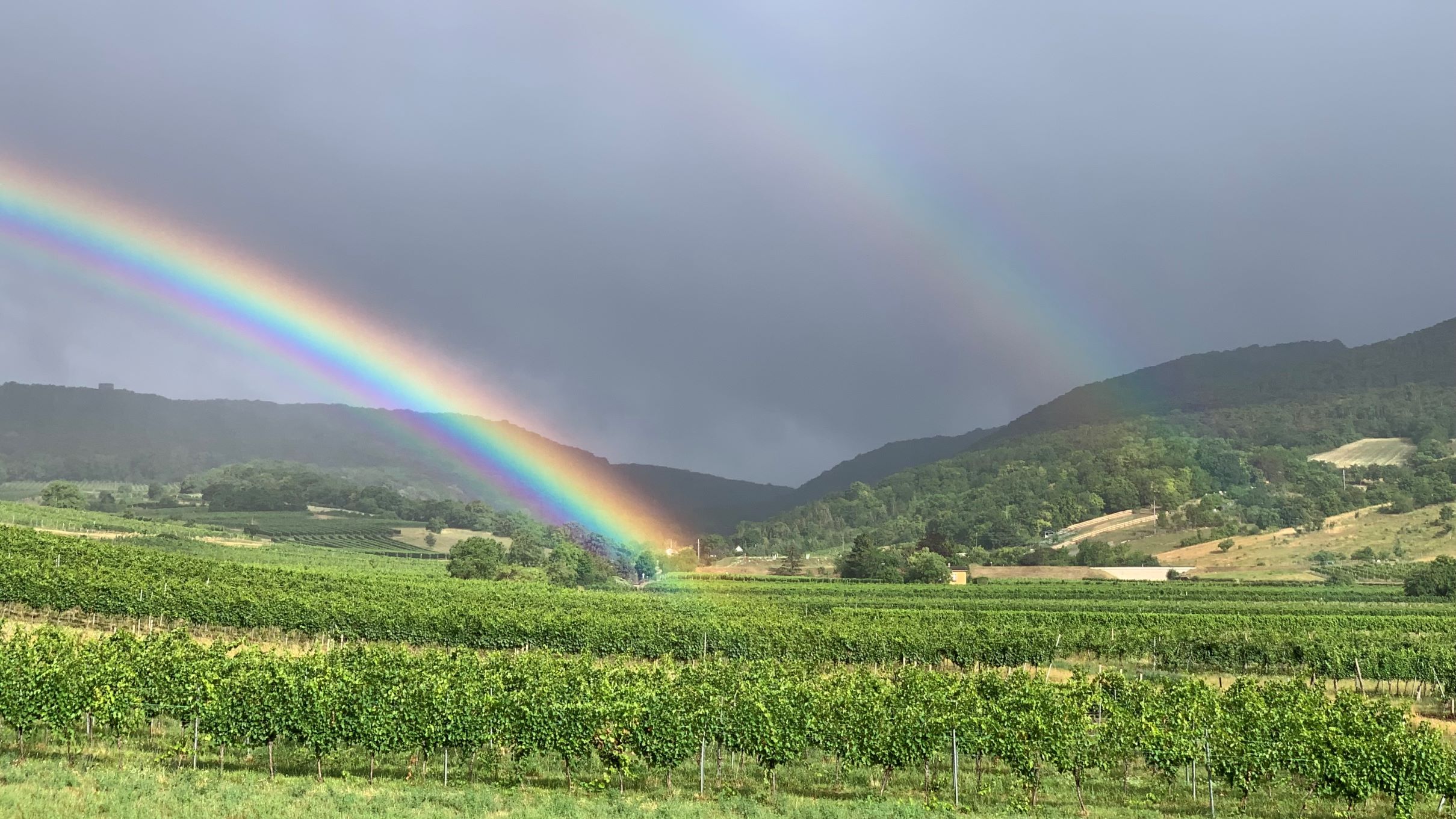 Unsplashed background img 2